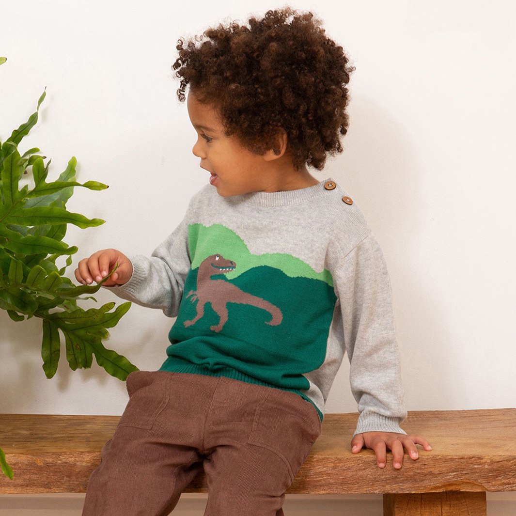 Dino jumper - Borro - rent baby kids clothes