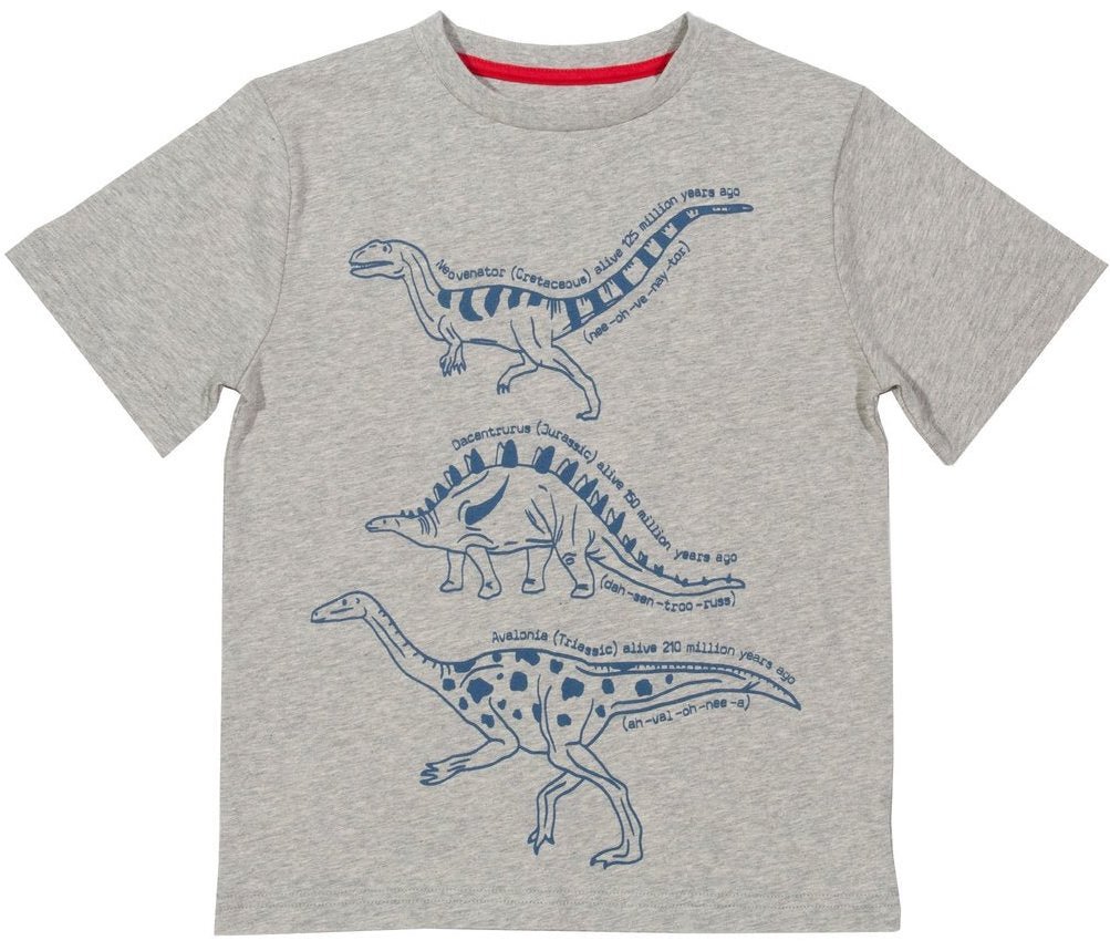 Dinosaurs t-shirt - Borro - rent baby kids clothes