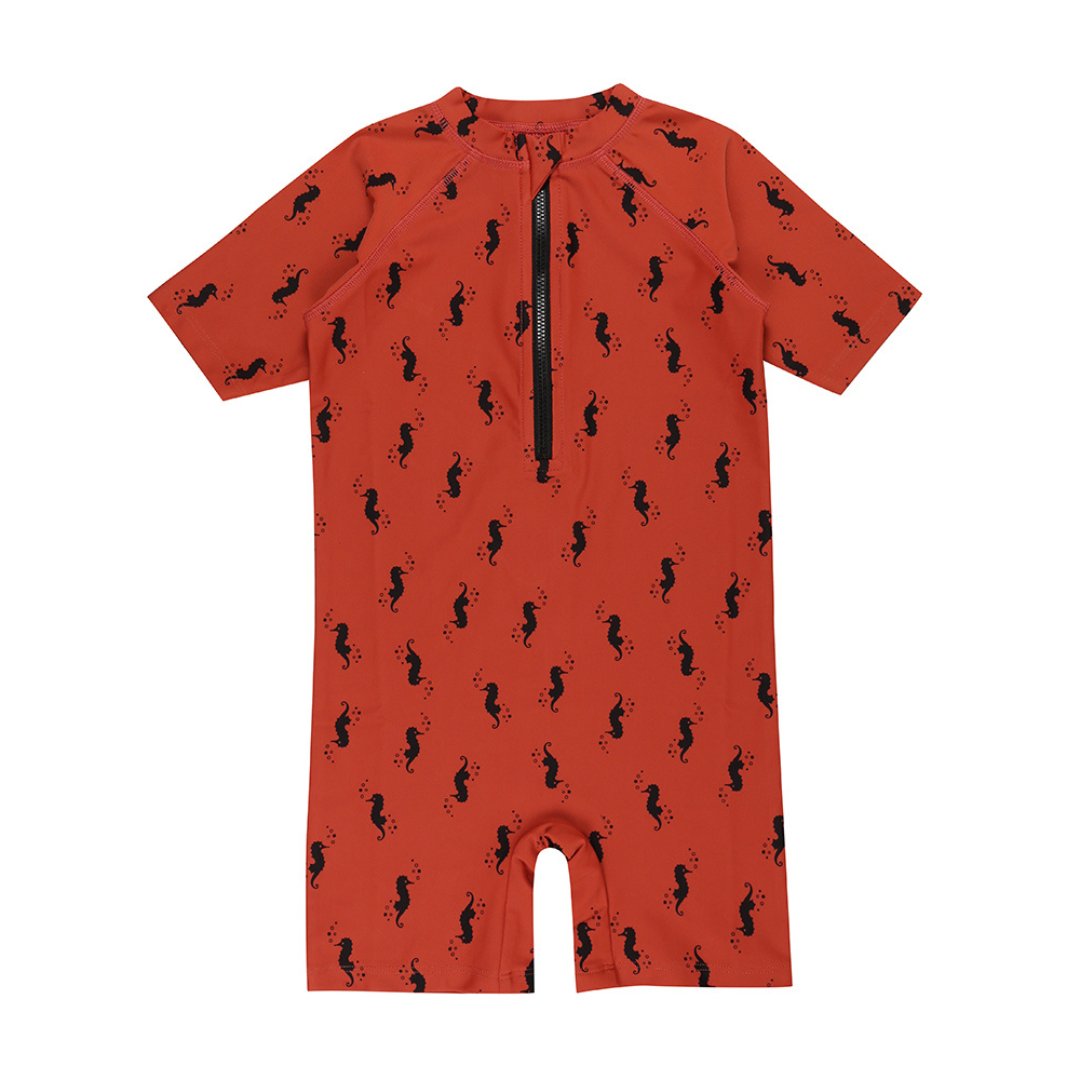 Seahorse surfsuit - Borro - rent baby kids clothes