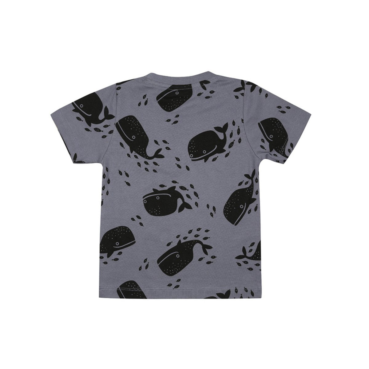 Whales t-shirt - Borro - rent baby kids clothes