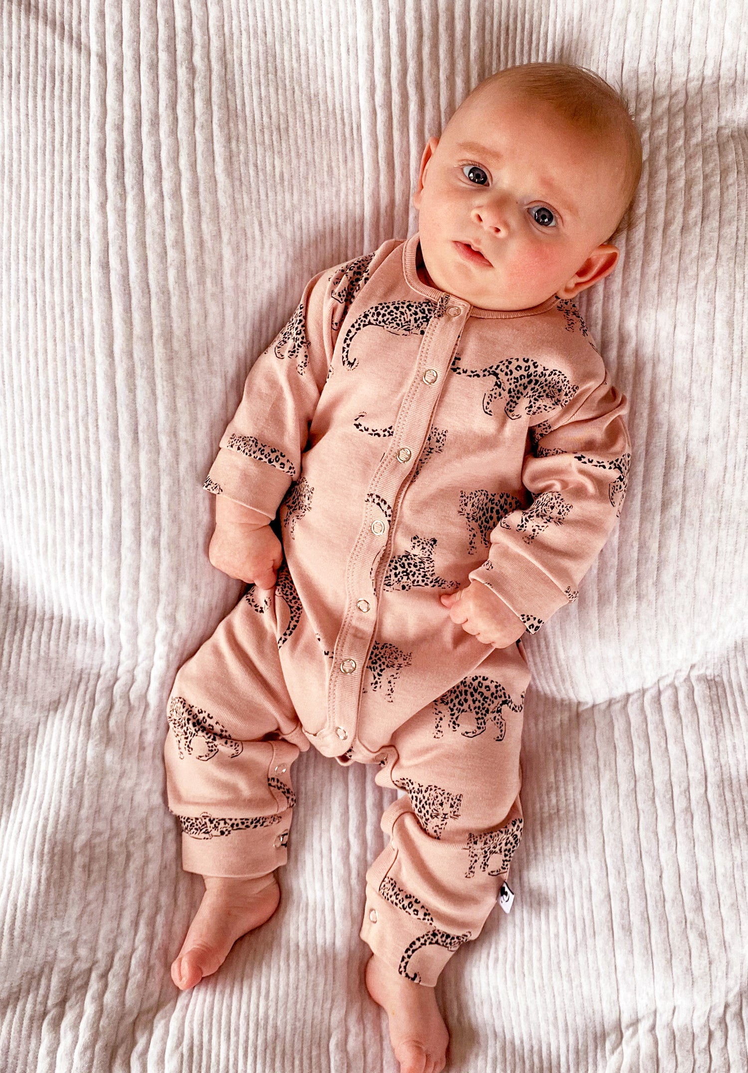 Baby wearing leopard print romper