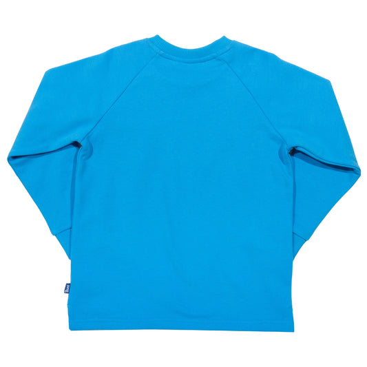 Back of blue sweatshirt