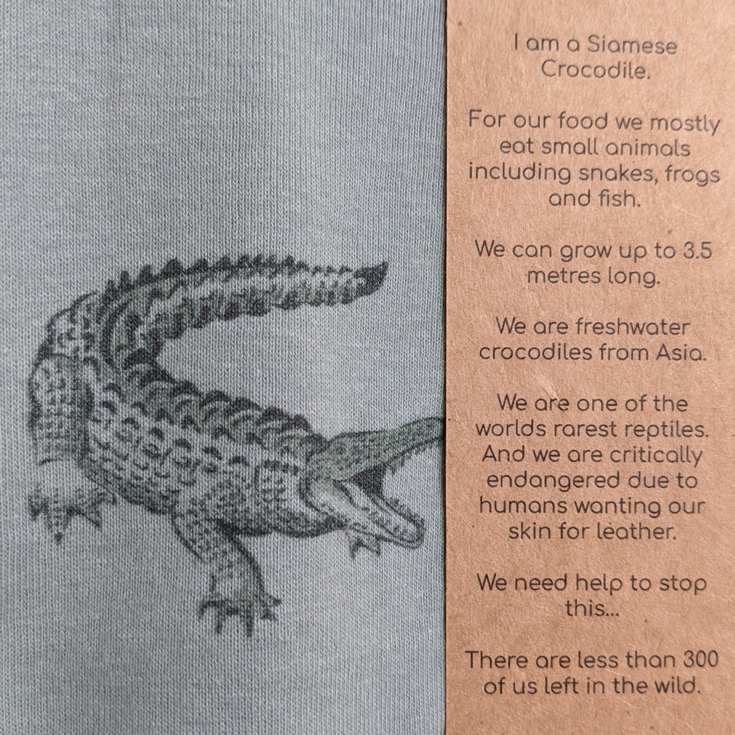 Crocodile romper info