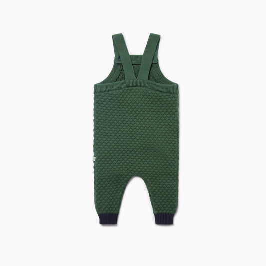 Knitted dungarees pine back
