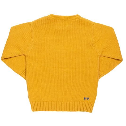 Back of mustard jumper