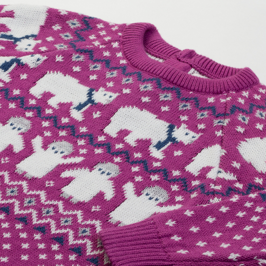 Polar pals knit dress detail