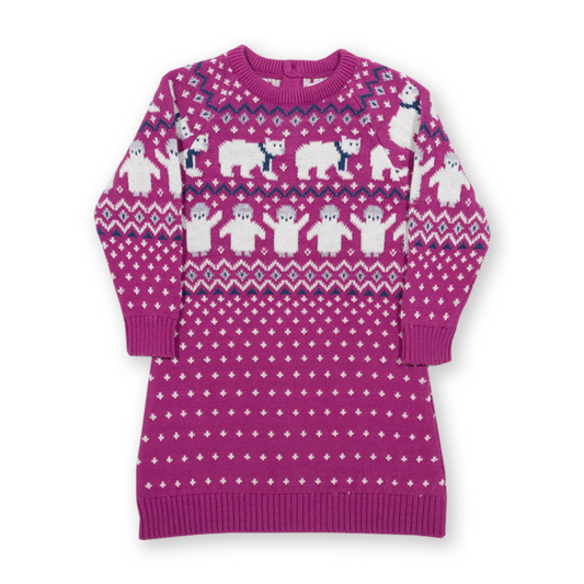 Polar pals knit dress front