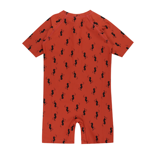 Seahorse baby surfsuit back