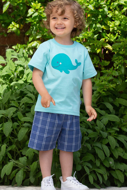 Special check shorts