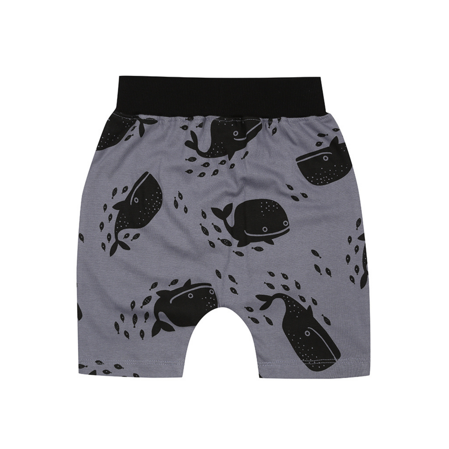 Whales shorts back
